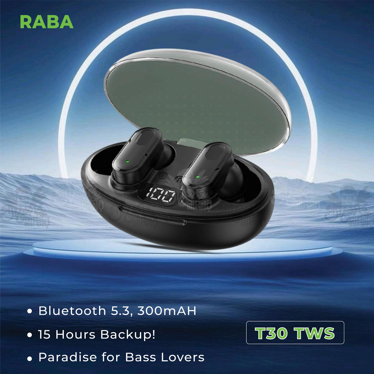 Raba T30-S460 Bluetooth 5.3 Wireless Connection Earbuds