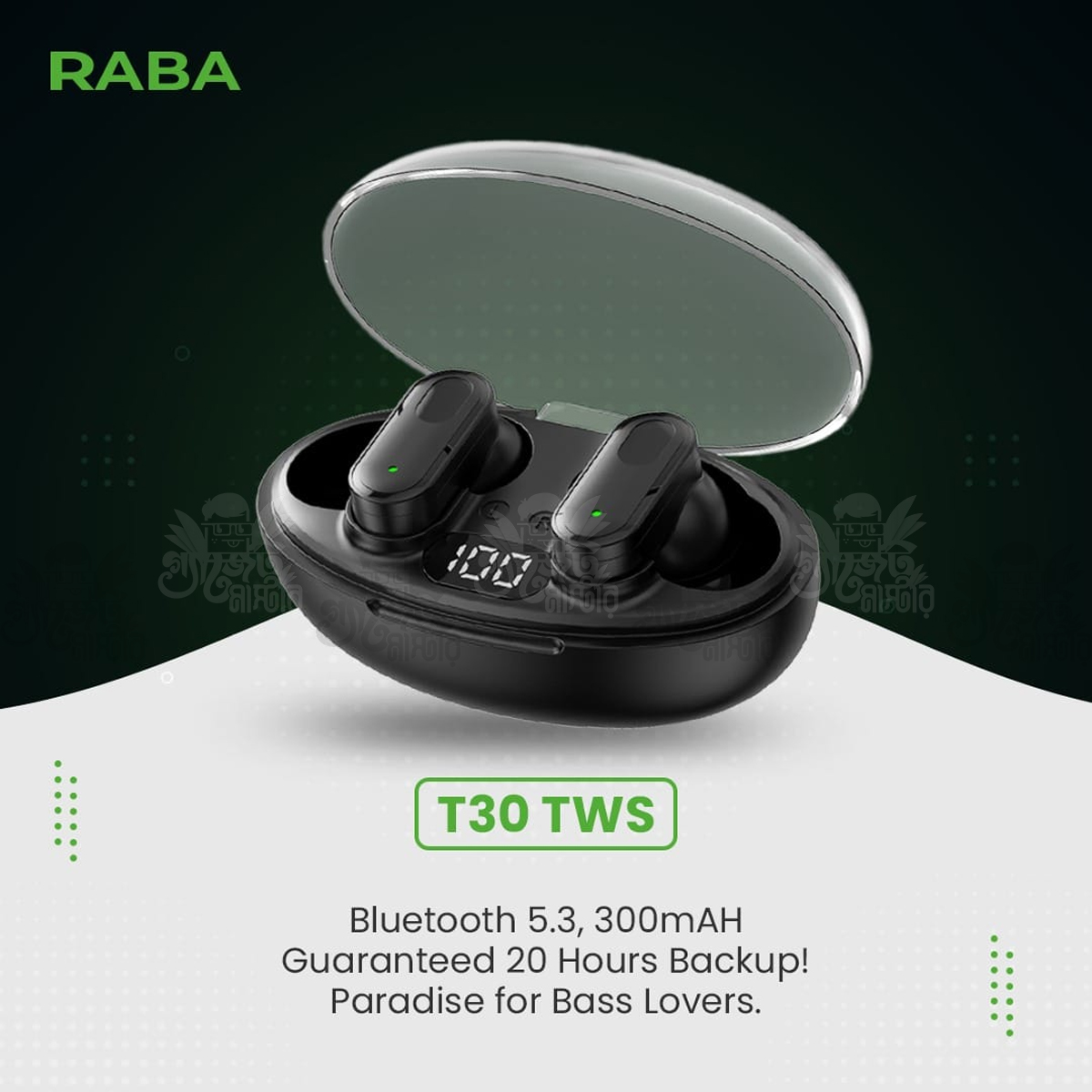Raba T30-S460 Bluetooth 5.3 Wireless Connection Earbuds